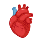 Heart Logo
