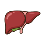 Liver Health Logo
